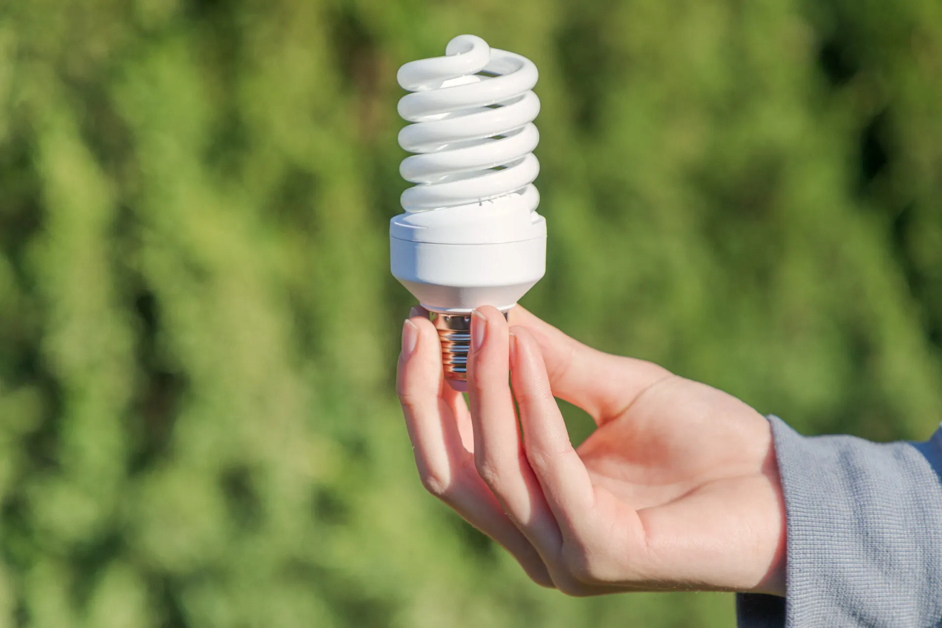 Energy Efficient Lighting Systems